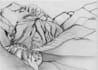 make hand drawn artistic architectural sketches