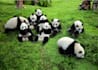customize china travel itinerary