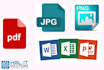 do file conversion,scanning files to word, data entry