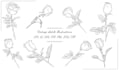draw vintage line art, logo design, vector icon botanical food illustration