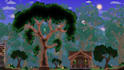 build anything you want in terraria