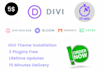 install divi theme, plugins with an API key for lifetime updates