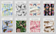 create clothing textile seamless patterns and print designs