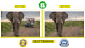 remove or add object, people from photo by photoshop