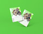 do a3 a4 a5 a6 education, event flyer, or poster design