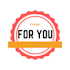 make a professional logo for you