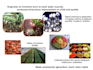 write content on  agriculture and environment