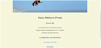 make a professional portfolio using HTML and CSS