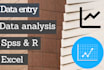 do statistical data analysis using spss, r, and excel