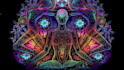 offer you a powerful kundalini awaken session
