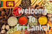 assist you anything in sri lanka