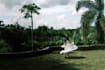 do an amazing wedding video highlights with story