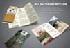 design a business flyer, brochure, postcard, or menu