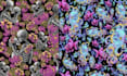 design custom seamless pattern sublimation