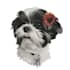 make a pet portrait from a photo of your pet