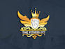 do any type of professional logo design