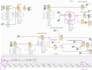 program and design plc and hmi