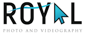 do professional video editing for you