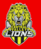 do professional embroidery digitizing in hours