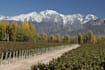 buy or ship anything you need from argentina
