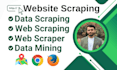 do web scraping data mining extraction web scraper in python