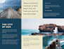 design a professional quality brochure