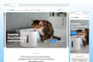 design high converting shopify and ecommerce store website UI UX