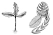 draw botanical illustration of flowers, plants, line art