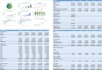 prepare financial model, projections, valuation, and analysis