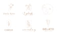 design beautiful botanical hand drawn logo