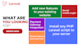 develop, fix and install any laravel website