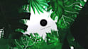 create nature tropical logo reveal