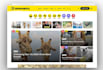 create a complete viral adsense arbitrage website