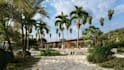 design professional landscape backyard garden and 3d model