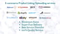 do bulk dropshipping, product uploading, add products to your ecommerce store