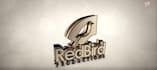 create custom 3d gold luxury logo intro