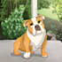 draw pet portrait into cartoon disney