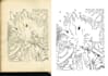 digitally restore your ephemera, or paper collectables
