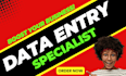 be virtual assistant for data entry, PDF conversion monthly support