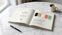 create professional logo with brand style guide