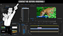 do professional video editing within 24 hours