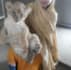 be your veterinary doctor for pets large animals birds