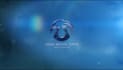 create custom logo animation intro video