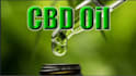 build 20 cbd links on cannabis, marijuana backlinks cbd guest post