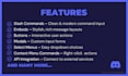 make a professional custom coded discord bot