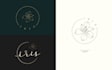 make botanical super unique hand drawn logo