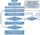 professionally edit and create a unique flowchart