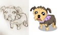 turn your sketch into digital illustration