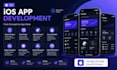 develop a professional ios app for iphone and ipad