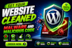 secure wordpress website, complete wordpress security